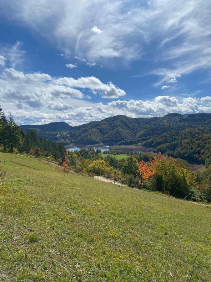 Zaovinska Panorama I Apartment Bajina Basta Bagian luar foto