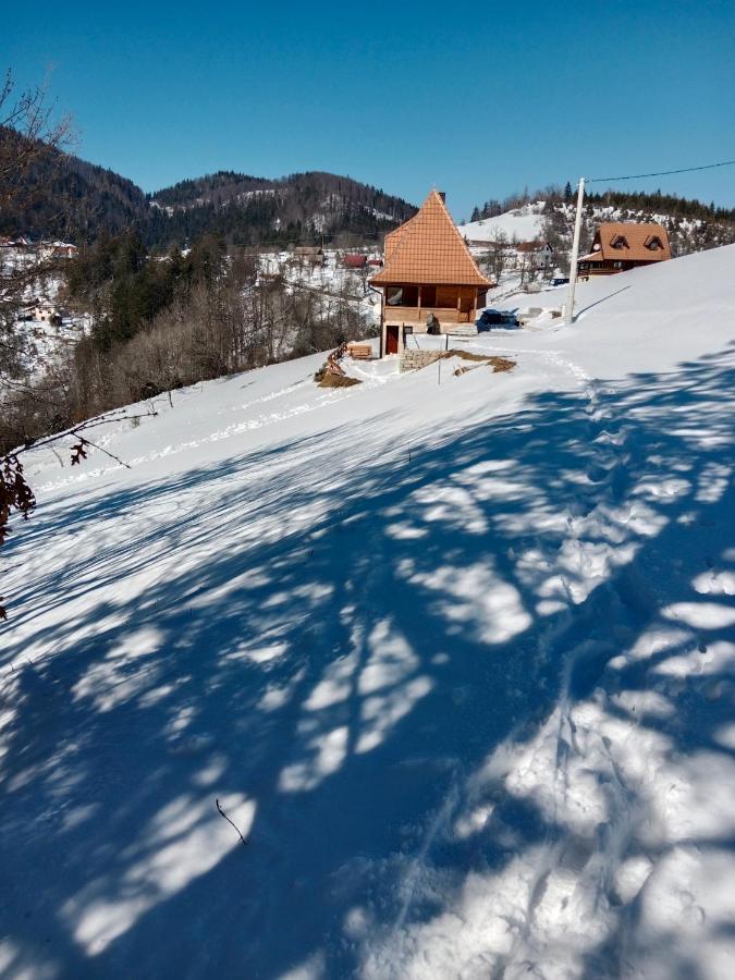 Zaovinska Panorama I Apartment Bajina Basta Bagian luar foto