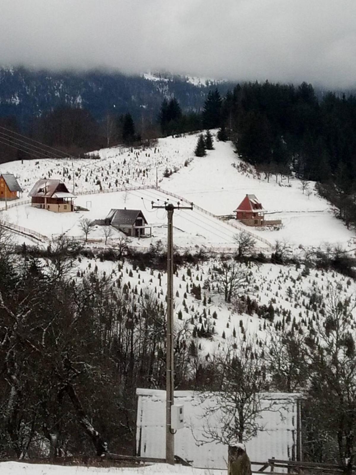 Zaovinska Panorama I Apartment Bajina Basta Bagian luar foto