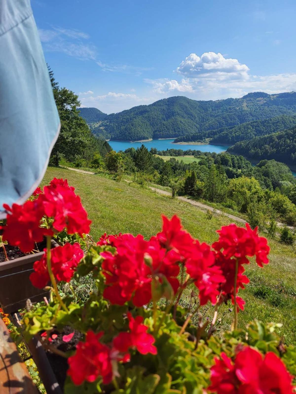 Zaovinska Panorama I Apartment Bajina Basta Bagian luar foto